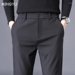 Pantaloni da uomo MINGYU marca spessa casual business stretch slim fit elastico in vita jogger coreano classico nero grigio pantaloni da uomo