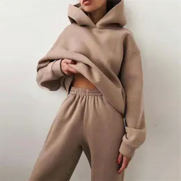 Womens Two Piece Pants Womens Track Set Outono Moda Quente Hoodie Moletom Duas peças Grande Sólido Casual Hoodie Zipper Pants Set 231214