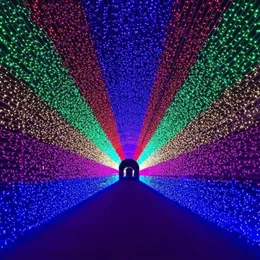 Thrisdar 6X4M 880LED Natale Net Light Garden Mesh Fata Ghirlanda Vacanza all'aperto Festa di nozze Sfondo String LED Strings276q