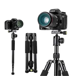 Innehavare Yuneng 190 Tripod Professional SLR Camera Aluminium Portable Travel Tripod Stand Monopod Ball Head för Canon Nikon Sony