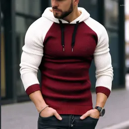 Men's Hoodies 2023 Woolen Hoodie Fashion Color Matching Hooded Sweater Autumn / Winter Knit Pullover Everyday Casual T-shirts