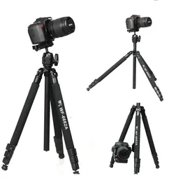 Aksesuarlar WF6662A Fancier FT6662A Bilyalı Kafa Kameralı Fotoğraf DV Teleskop Tripod