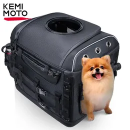 Dog Motorcycle Pet Pet Dog Bag For Street Glide Road King Electra Glidewith Passenger Seat Luggage Rack Trike Models 231215