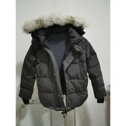 Top marka Big Wolf Fur Mens Down Parma Winter Jacket Arctic Black Green Reder Outdoor Bluies Doudoune Manteau Coats