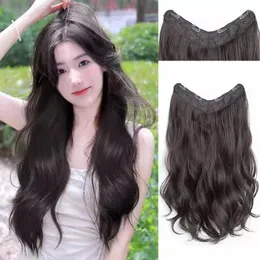 Wig Piece One-piece Female Long Hair Increase Volume Fluffy Simulation Without Trace Big Wave Curly Extensions