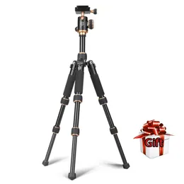 Accessories QZSD Q166 Tripod Portable Photography Stand for SLR Cameras amp Mobile Phones