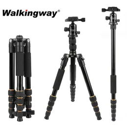 Zubehör Walkingway Aluminium Protable Q666 Professionelles Reisekamera-Stativ Einbeinstativ Kugelkopf-Telefonhalter für DSLR-Smartphone-Video