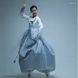 민족 의류 2023 National Dance Wear 한복 한국 전통 민속 의상 빈티지 무대 공연 시폰 드레스