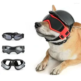 Dog Apparel Sunglasses Headgear Set Riding Cap Pet Puppy Hat For Outdoor