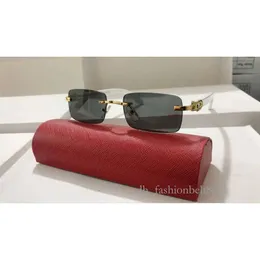 Neue Mode Buffalo Gläser Sonnenbrille Frauen Herren Randlose Vintage Sommer Cat Eye Stil Mode Männer Holz Bambus Horn Brillen Popul