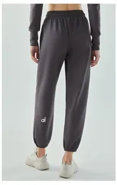 LU LU LEMONS Wear Yoga-Jogginghose für Damen, bereit zum Seilziehen, dehnbare Trainingshose mit hoher Taille, DSP661
