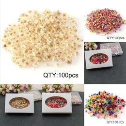 새로운 크리스마스 장난감 용품 100/200pcs 말린 꽃 DIY 수지 양초를위한 작은 별 꽃 보석 유리 유리를 채우는 예술 공예품 장식을위한 건조 꽃