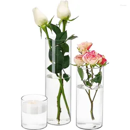 Vases Glass Vase Flower Pot Hydroponic Transparent For Flowers Dried Arrangement Bottle Decor Home Room