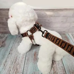 Leashes Classic F Letter Dog Traction Rope Leash Designer Dog Collar Harness Walking Rep Dog Chain Large Medium Small Teddy Pet Collar CH CH