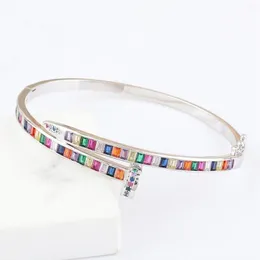 Braccialetti rotondi del polsino rotondo della CZ dell'arcobaleno di rame di estate di lusso multi colori braccialetti di fascino di cristallo per le donne Regali di gioielli di marca di nozze Bang2600