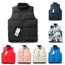 Gilet in piumino Autunno/Inverno 2023! Stesso stile per le coppie! Un must per gli hipster. Tutto va con esso