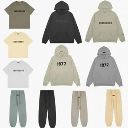 Essentialtshirt Designer Camisas Homens 1977 Hoodies Mens Moletons Cinza Hoodie Ferro Womens Pullovers Tracksuits Oversize Jumpers Streetwear Lady Swea