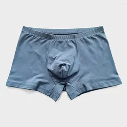 Cuecas masculinas de algodão confortável macio shorts roupa interior cor sólida boxer briefs sexy bolsa calcinha cintura média casual solto