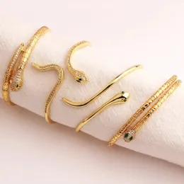 Bangle Mix Style Top Quality Copper Zircon Snake 2