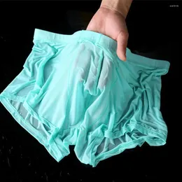 UNDUPTS 1 PC Erkek Panties Islak baştan çıkarıcı şort seksi boksör brifingler ince şeffaf iç çamaşırı rahat gövdeler