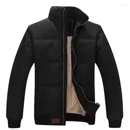 Мужские куртки, осенне-зимняя маленькая куртка-лошадь, мужская повседневная пуховая хлопковая куртка с воротником-стойкой, облегающее качество, теплое пальто, классический стиль, черный цвет