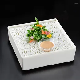 Тарелки из меламинового материала, тарелка с сухим льдом, креативная квадратная полая посуда для суши, сашими, десерта, ресторана, специальная посуда