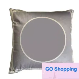 Top Quality Luxury Designer Cushion pillow tabby Bedhead Sofa Waist Pillow Backrest pillows Living Room Bedroom