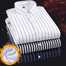 Camicie casual da uomo 2023 Corea formale camicia da lavoro da uomo manica lunga addensare cotone imbottito a righe inverno caldo