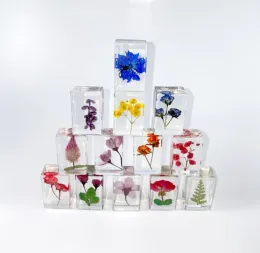 Gepresste Blumen Briefbeschwerer Wissenschaft Entdeckung Echte Blumen Probensammlung Proben in Harz Papierbeschwerer Würfel für Kinderpartygeschenke ZZ