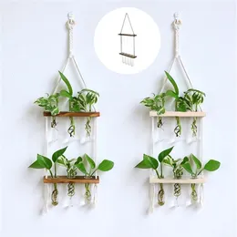 Creative Solid Wood Hydroponic Test Tube Glass Wall Hanging Wall Decoration Vase Home Plant Hanging Wall Decoration Container 2206221k