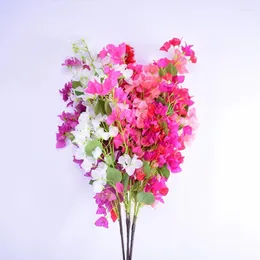 Dekoracyjne kwiaty Bougainvillea mogą być używane do etapów ślubu dekoracje kwiatowe itp.