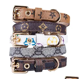 Dog Collars Leashes Leashs set Classic Persbyopia Designer Letters Pattern Print Pu革ファッションカジュアル調整可能な犬猫nec dhbgn