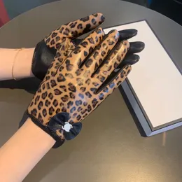 Leopard Print Bow Touch Gloves Highlend Sheepes Hand Glove Fashion Womens Split Gloves Size M L مع مربع CSD2312215