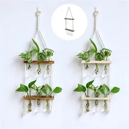 Creative Solid Wood Hydroponic Test Tube Glass Wall Hanging Wall Decoration Vase Home Plant Hanging Wall Decoration Container 2206231f
