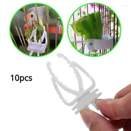 Other Bird Supplies 10pcs Cute Pet Food Holder Parrot Fruits Vegetables Clip Cuttlefish Bone Feeder Device Clamp Cage Accessories Oiseaux