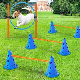 Zestaw treningowy Agility Zestaw Zachęty dla psów przeszkody sprzęt Urządzenie Urządzenie 231221