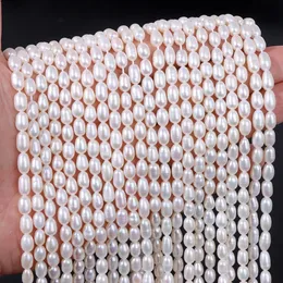 AAA White 100 Natural Pearl Beads Freshwater Rice Shape Loose For Jewelry Making DIY Bracelet Necklace Accessories 231221