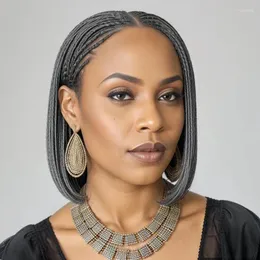 Salt & Pepper Braided Hairstyles Glueless 13x1 T-part Lace Front Wigs Micro Senegalese Twists Wig For Black Women