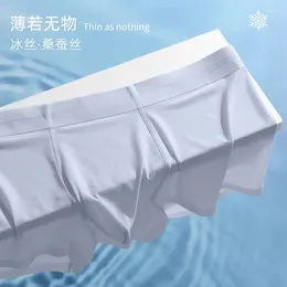 Underpants Eisseide Unterwäsche nahtlose Sportarten Quickdrying Travel Highend Boxer Shorts Ein Muss für harte Mann