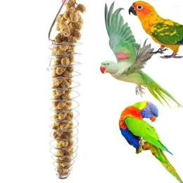 Other Bird Supplies Feeder Pole Parrot Foraging Toy Spiral Metal Food Holder With Hook Stainless Steel Treat Skewer For Fruit