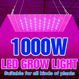 Whod Lights 1000 W Pełne spektrum Rośliny LED Światło 220V Flower Wzrost Lighting 1500 W Phytolamps dla sadzonek Fito Lampy Hydroponiczne 209F