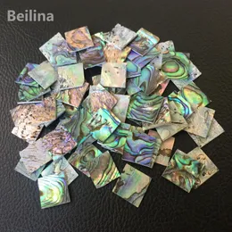 1LOT10pcs13mm/13mm Zealand Abalone 악기 액세서리 및 가정 공예 용 쉘 시트 231222