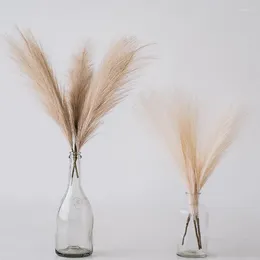 Fiori decorativi 43 cm 5forks Pumpy Pampas Grass Bouquet Boho Decorazioni per la casa Pianta di canna finta artificiale per decorazione per feste di nozze Fiore