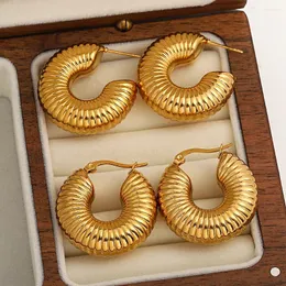 Hoop örhängen livefontier rostfritt stål chunky metall guld färgskruv för kvinnor överdrivning huggie uttalande örhänge smycken