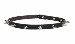 Cat Collars Leads Leads Spiked Choker for Men Punk Rock Collar Goth Fashion Necklaces 2021 Leather Studded Girls Harajuku Gothic9365876