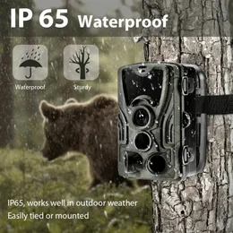 Jaktkamera Wild Trail Cameras HC801A 16MP 1080P IP65 PO TRAP Wildlife Surveillance Cams Scout Tracking 231222