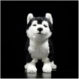 Gefüllte Plüschtiere 25 cm Siberian Husky Hundespielzeug mit braun/ blauen Augen lebensechter Alaskan Malamute Animal Toys Weihnachtsgeschenke 201212 DHFSQ