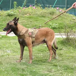 Leinen Militärtaktische Hundekabelbaum Patrouille K9 Arbeiten Haustierkragen Kleiner Dienstweste mit Handlungsprodukten 211022