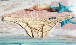 2020 Brand Howe Ray Gay Underwear Men Solid Briefs a bassa vita a bassa seta traspirante SEXE SEXY UNDURE HEVIFICHE HIP HIP3778993