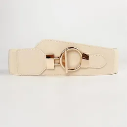 Cinture cintura oro cintura per donne alla moda largo elastico cintura abito color beige nero e cappotto regalo cummerbunds260r